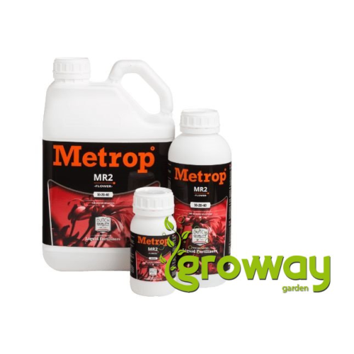 Metrop MR2