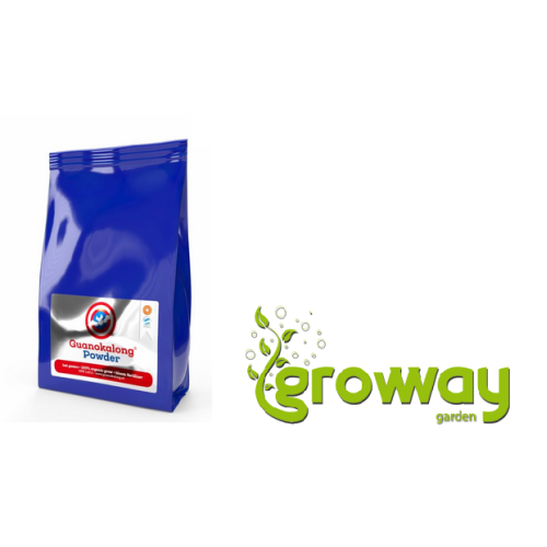 Guanokalong Powder