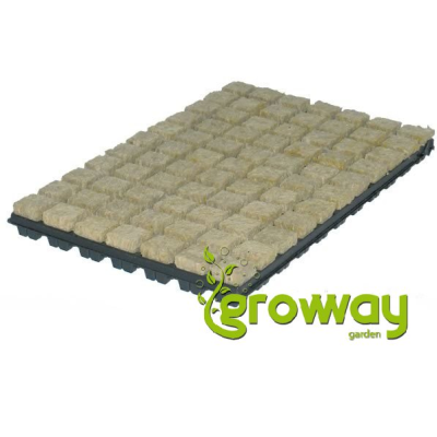 Grodan Sadbovací kostka 36x36x40mm v sadbovači po 77ks