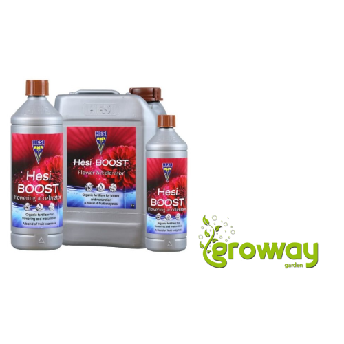 Hesi Boost