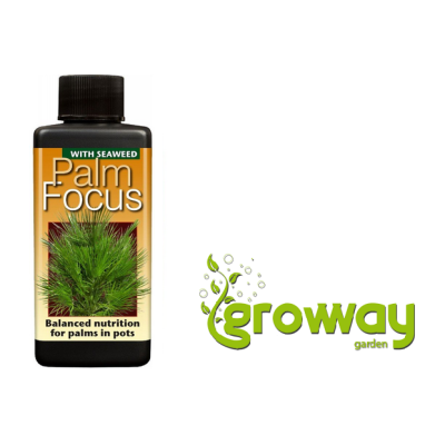 Growth Technology Palm Focus