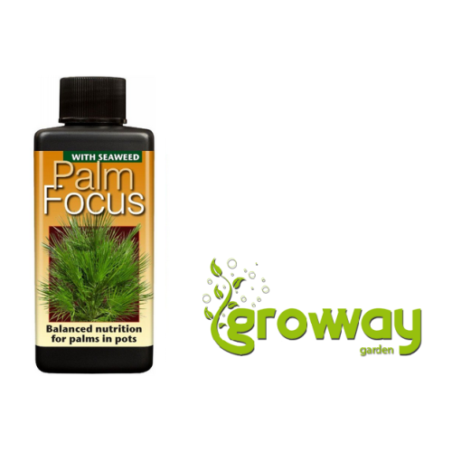 Growth Technology Palm Focus
