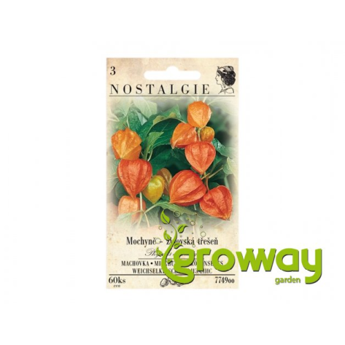 Mochyně - židovská třešeň - 60 semen