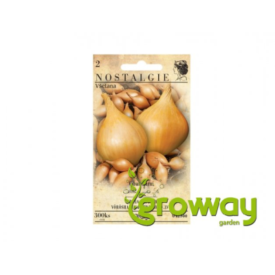 Cibule jarní kuchyňská Všetana - Allium cepa - semena