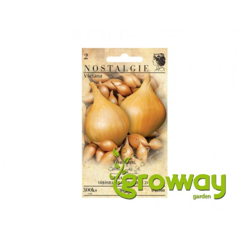 Cibule jarní kuchyňská Všetana - Allium cepa - semena