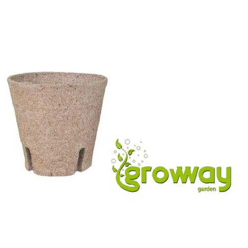 Nohel garden Květník rašelinový se zářezem d6cm