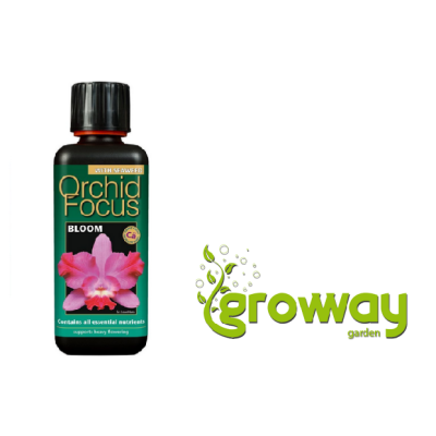 Growth Technology Orchid Focus Bloom