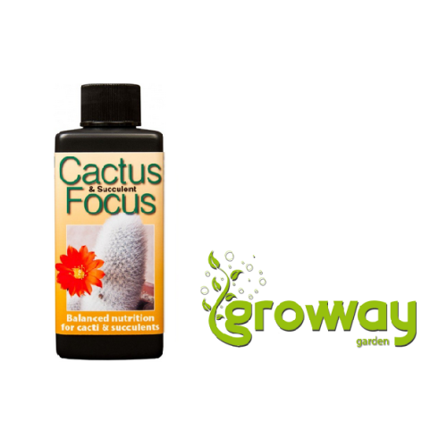 Growth Technology Cactus Focus
