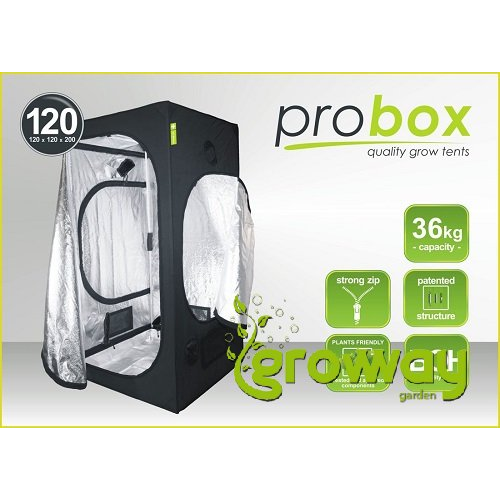 PROBOX MASTER 120x120x200cm