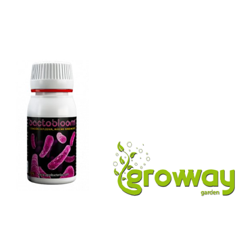 Agrobacterias Bactobloom