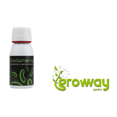 Agrobacterias Bactohemp