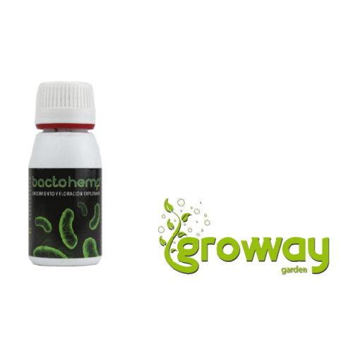 Agrobacterias Bactohemp