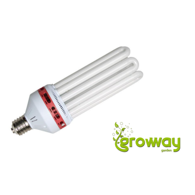 NTS CFL 200W red