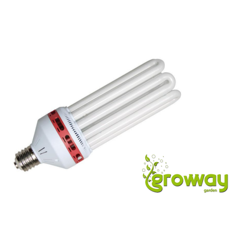 NTS CFL 200W red