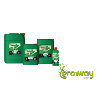 Dutchpro Leaf Green