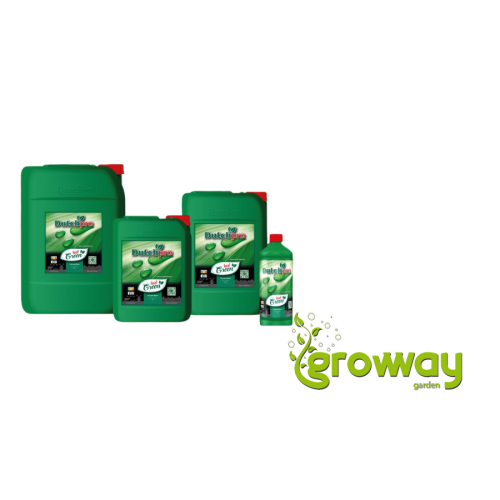 Dutchpro Leaf Green
