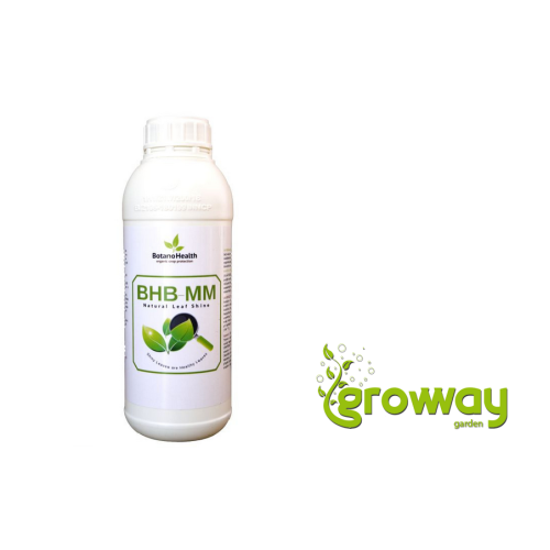 Botano Health BHB-MM Leaves Shiner