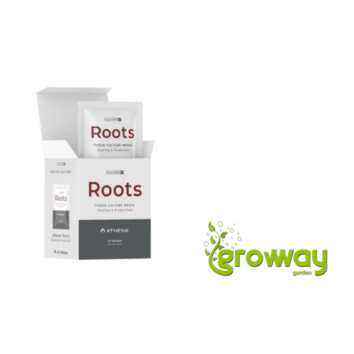 Athena Roots Culture Media