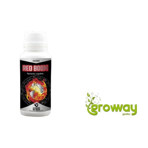 La Poción Del Brujo Red Boom