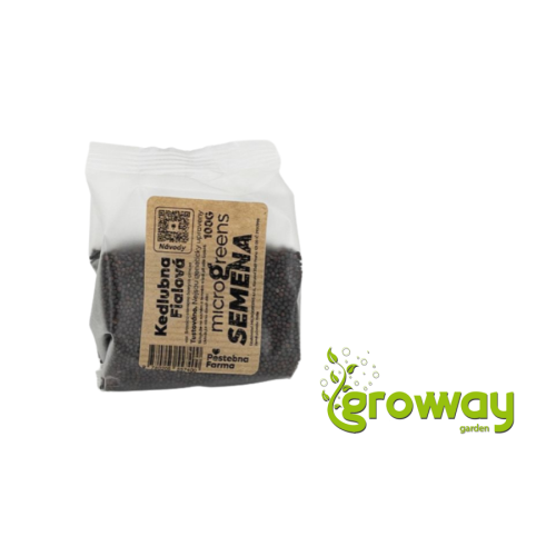 Pěstebna Kedlubna fialová na microgreens, 100 g