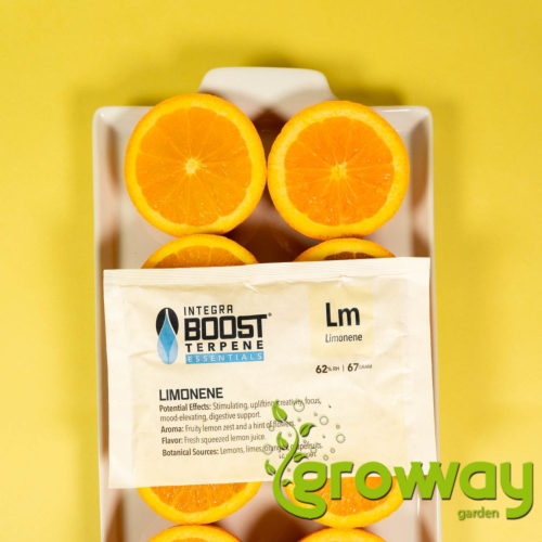 Integra Boost 62% RH Terpene Essentials Limonene