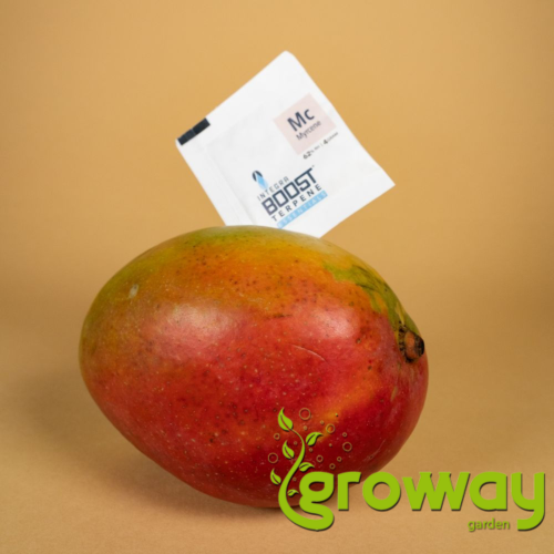 Integra Boost 62% RH Terpene Essentials Myrcene