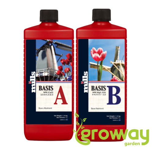 Mills Regular A+B
