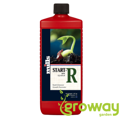 Mills Regular Start-R