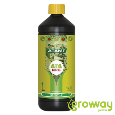 Atami ATA NRG Organics Growth-C