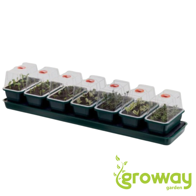 Garland Self Watering Propagator Super 7, 76x18.5x15 cm