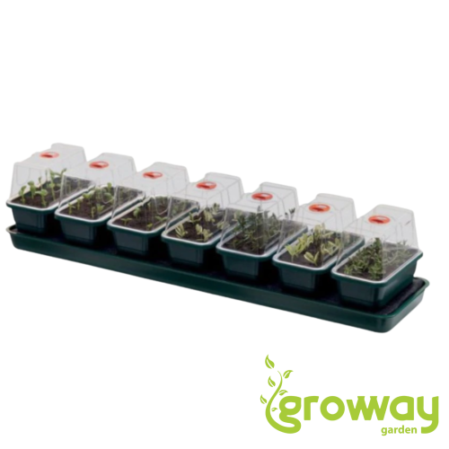 Garland Self Watering Propagator Super 7, 76x18.5x15 cm