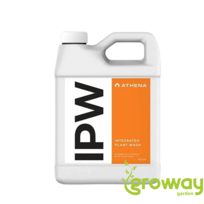 Athena IPW
