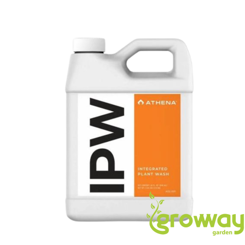 Athena IPW