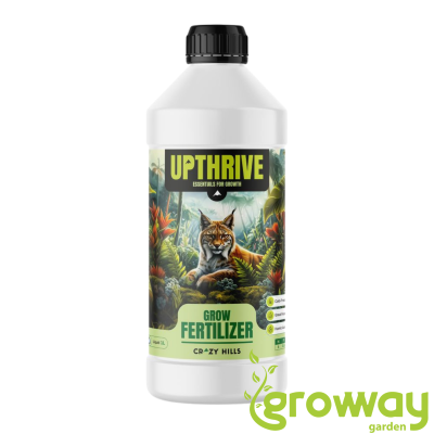 Crazy Hills UPTHRIVE