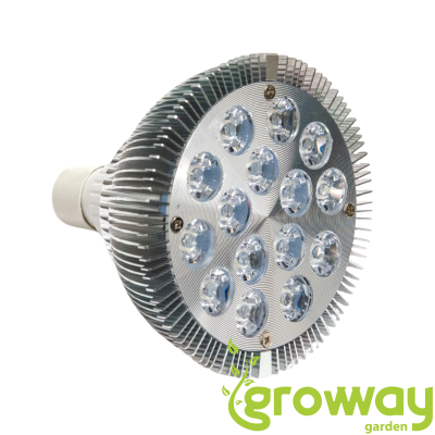 LED žárovka SunPro PAR38 - 15W/2700K