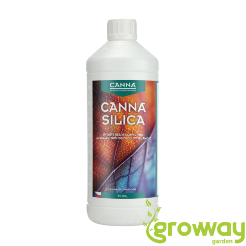 Canna Silica