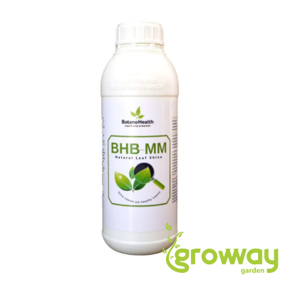 Botano Health BHB mm Leaves Shiner