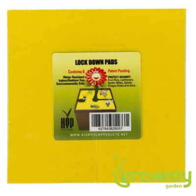 Hranaté desky lepové žluté Lock down pads, 15cm, 8ks