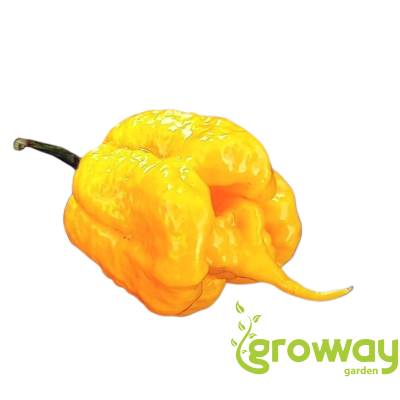 Carolina Reaper Yellow