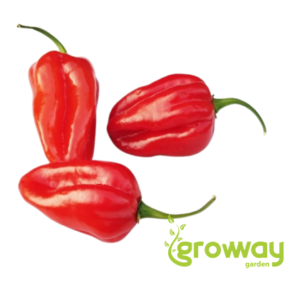 Habanero Red