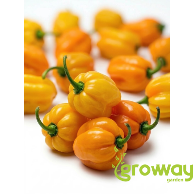 Habanero Yellow