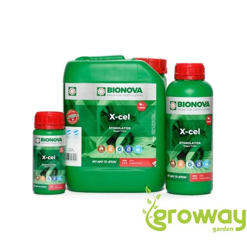 BioNova X-cel Booster